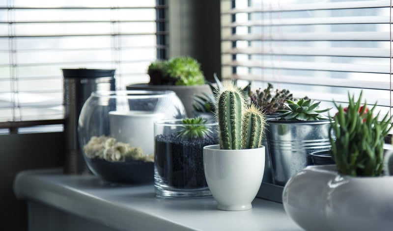 Hanging Gutter Garden